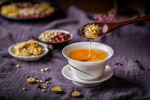 麻城福白菊