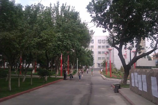 高级中学掠影